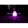 hot sale factory price rechargeable LED lantern light with handle have switch